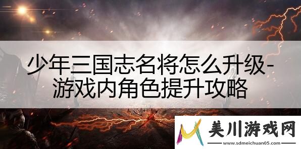 少年三国志名将怎么升级