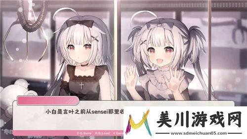 口袋妖怪黑白2伊布进化大揭秘