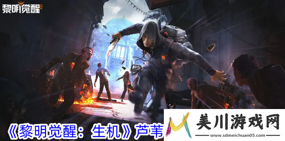 限时boss