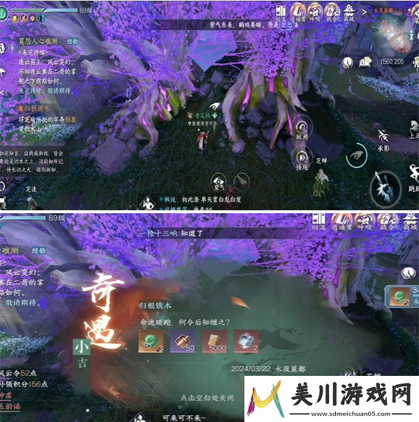 宠物养成