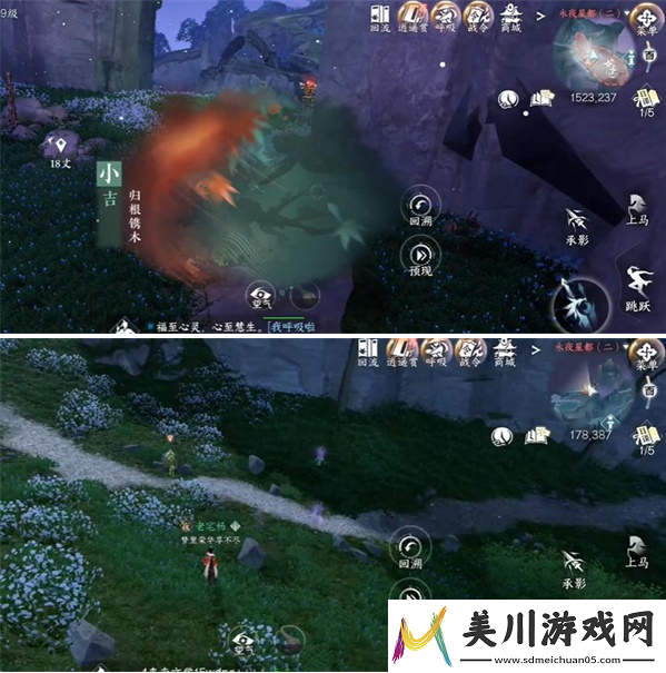 宠物养成