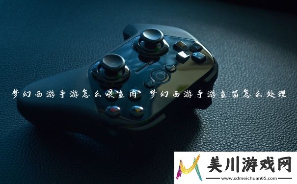 梦幻西游手游怎么喂鱼肉