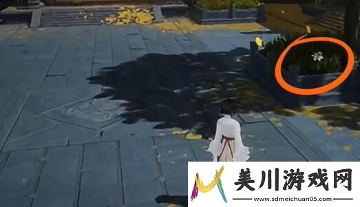 竞技