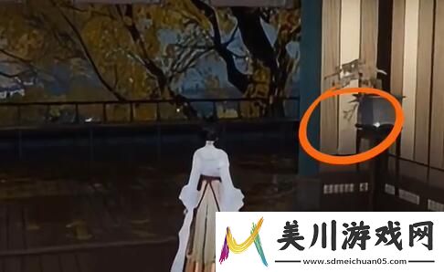 竞技